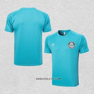 Camiseta de Entrenamiento Palmeiras 2023-2024 Verde