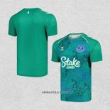 Camiseta Pre Partido del Everton Shamrock 2024 Verde