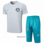 Chandal del Palmeiras 2023-2024 Manga Corta Gris - Pantalon Corto