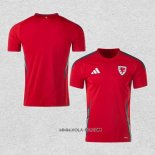 Camiseta Primera Gales 2024