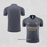 Camiseta de Entrenamiento Arsenal 2023-2024 Gris