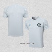 Camiseta de Entrenamiento Palmeiras 2023-2024 Gris