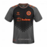 Camiseta Tercera Bristol City 2022-2023