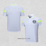 Camiseta Polo del Palmeiras 2023-2024 Gris