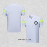 Camiseta de Entrenamiento Palmeiras 2023-2024 Blanco